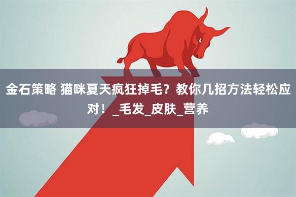 金石策略 猫咪夏天疯狂掉毛？教你几招方法轻松应对！_毛发_皮肤_营养