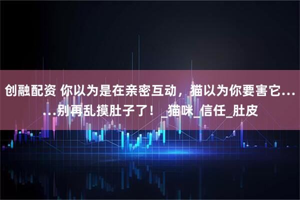 创融配资 你以为是在亲密互动，猫以为你要害它……别再乱摸肚子了！_猫咪_信任_肚皮