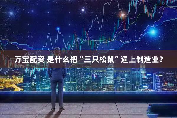 万宝配资 是什么把“三只松鼠”逼上制造业？