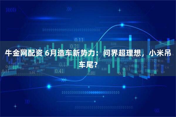 牛金网配资 6月造车新势力：问界超理想，小米吊车尾？