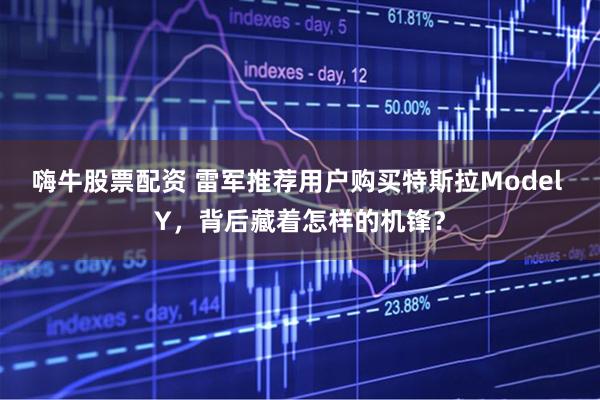 嗨牛股票配资 雷军推荐用户购买特斯拉Model Y，背后藏着怎样的机锋？