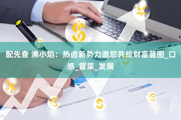 配先查 沸小焰：热卤新势力邀您共绘财富蓝图_口感_冒菜_发展