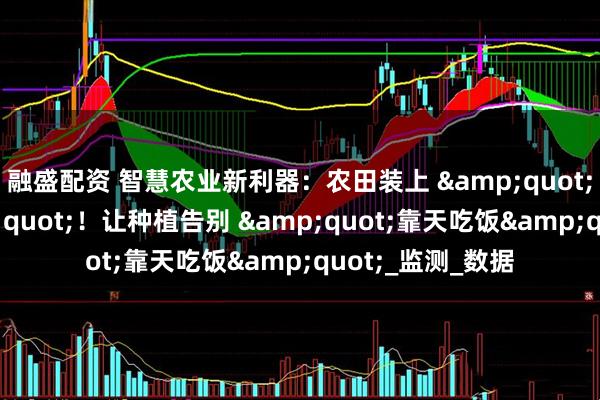 融盛配资 智慧农业新利器：农田装上 &quot;气象智囊&quot;！让种植告别 &quot;靠天吃饭&quot;_监测_数据